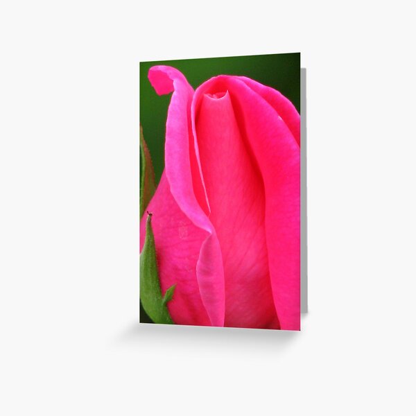 SOON TO BLOOM Greeting Card