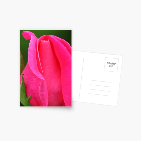 SOON TO BLOOM Postcard