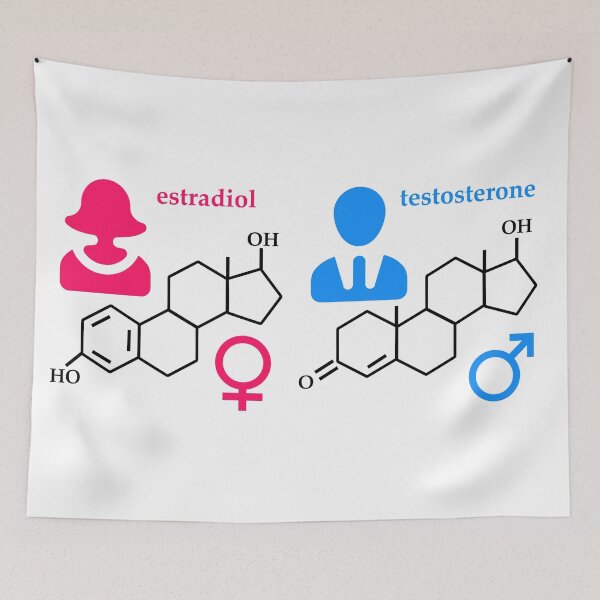 Item preview, man woman hormones estradiol testosterone designed and sold by orvalrochefort.