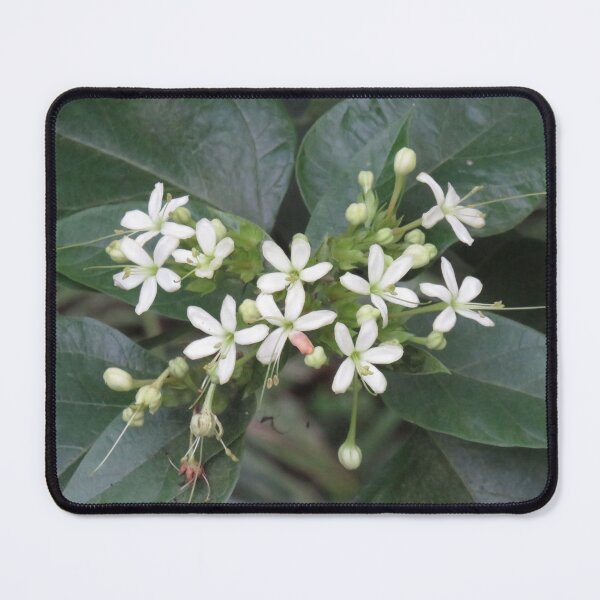 Item preview, Tropical white clusters designed and sold by greentiger1.