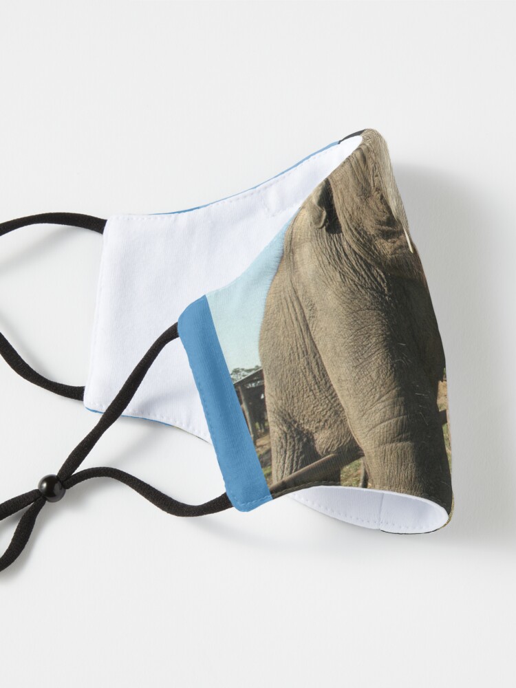 NEPAL BABY ELEPHANT, HEART SHAPED TRUNK iPhone Case for Sale by