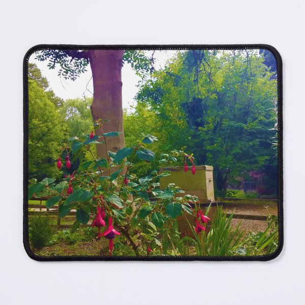 Item preview, #185 |☼| Hardy / Hummingbird Fuchsia Flowers - Landscape Shot (Elsham Hall, Gardens & Country Park) designed and sold by Naean H.F. (Nez Man).