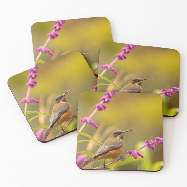 Item preview, Eastern Spinebill on Pink Salvia designed and sold by SusanAdey.