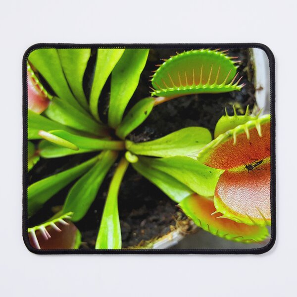 Item preview, GREEN SCREEN designed and sold by MariaRichards.