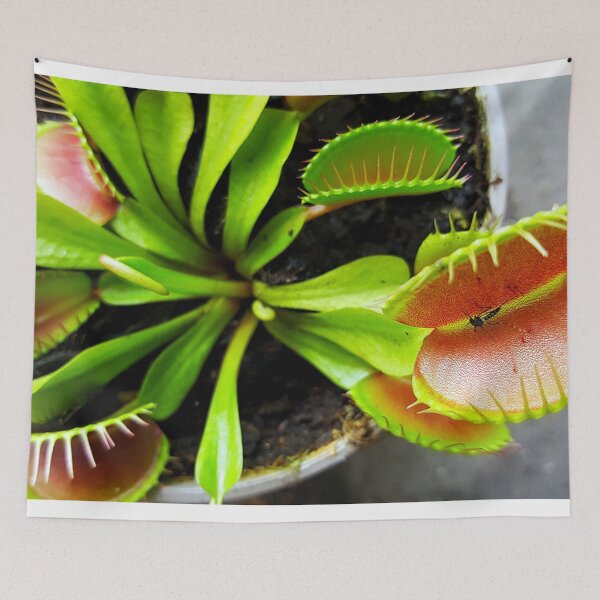 Item preview, GREEN SCREEN designed and sold by MariaRichards.
