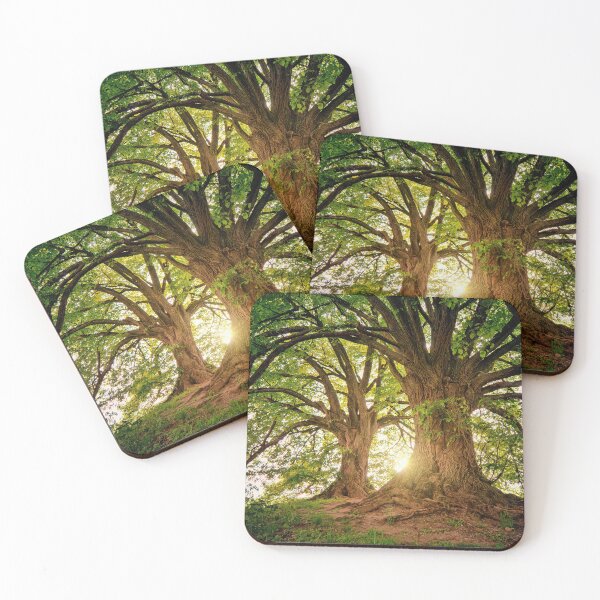 Artikelvorschau, Wald-Baum-Natur-Foto entworfen und verkauft von livianasgifts.