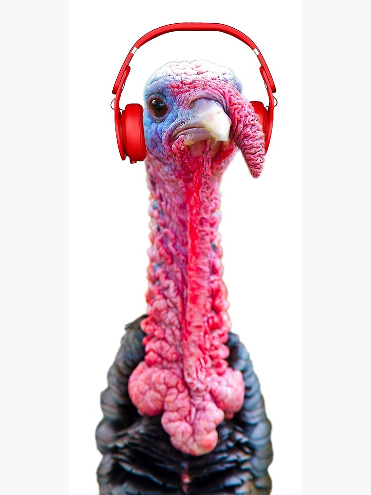 "Turkey Dj" Canvas Print by benbdprod Redbubble