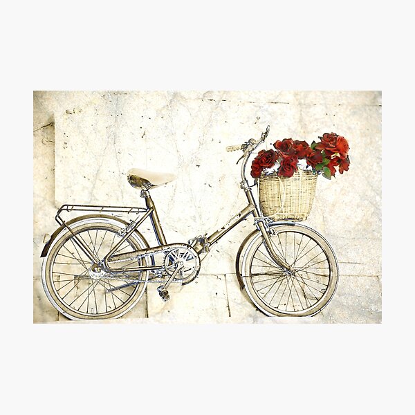 Artikelvorschau, Fahrrad und Blumen entworfen und verkauft von Mikeinbc1.