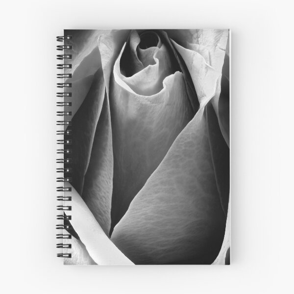 Item preview, Closeup of a rose in black & white designed and sold by FotoMahieu.