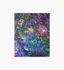 Fairyland Art Board