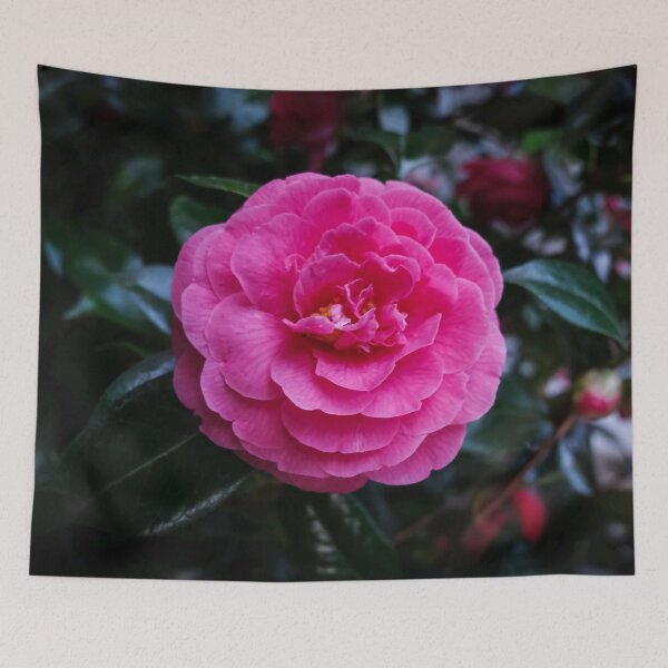 Item preview, West Coast Gardens: Comely Camellia designed and sold by Chancelrie.