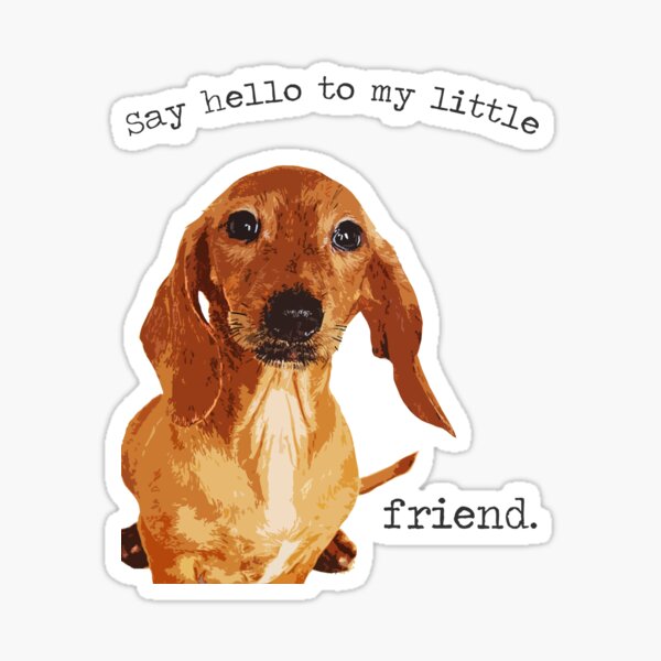 "Say Hello to My Little Friend" Dachshund Puppy Doxie Cute Brindle Smooth Short Coat Hair Smoothair Red Smoothie I love Dachsies Movie Quote Scarface Sticker