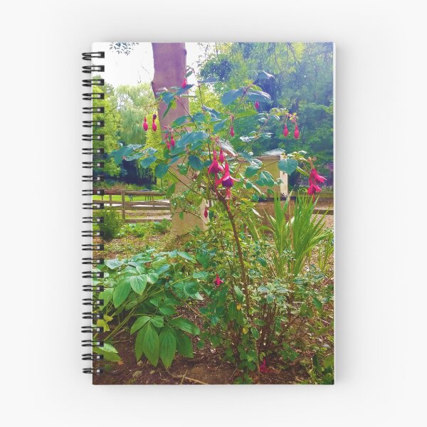 Item preview, #186 |☼| Hardy / Hummingbird Fuchsia Flowers - Portrait Shot (Elsham Hall, Gardens & Country Park) designed and sold by Naean H.F. (Nez Man).