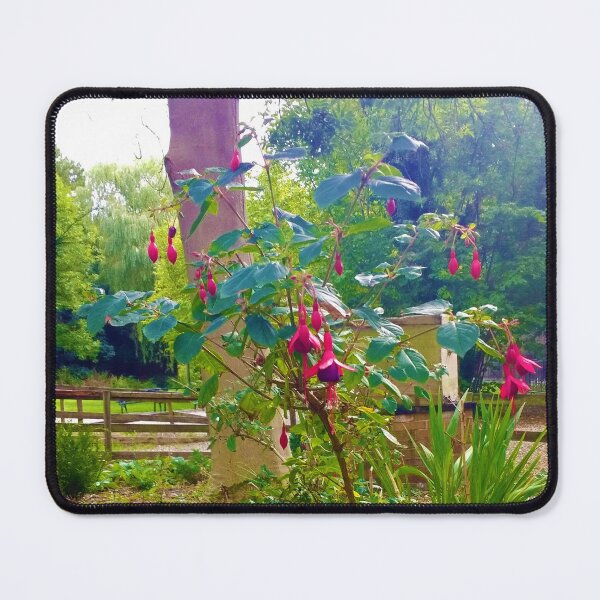 Item preview, #186 |☼| Hardy / Hummingbird Fuchsia Flowers - Portrait Shot (Elsham Hall, Gardens & Country Park) designed and sold by Naean H.F. (Nez Man).