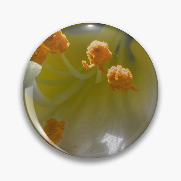 Item preview, Adesso mezzagiorno.  designed and sold by © Andrzej Goszcz,M.D. Ph.D.