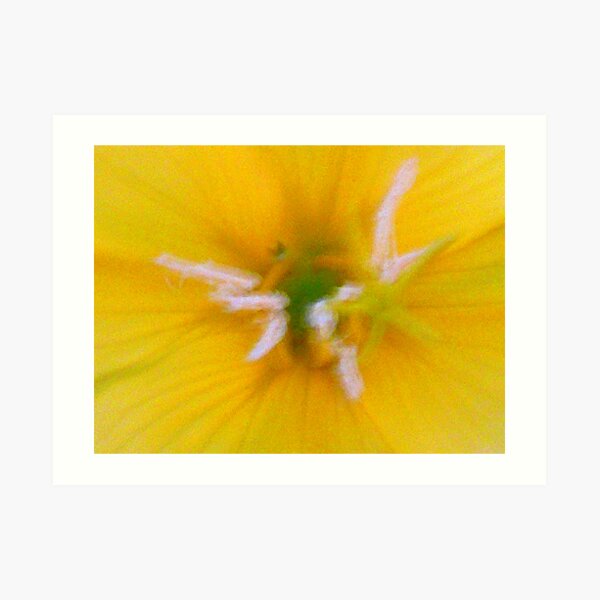 Yellow Frenzy Art Print