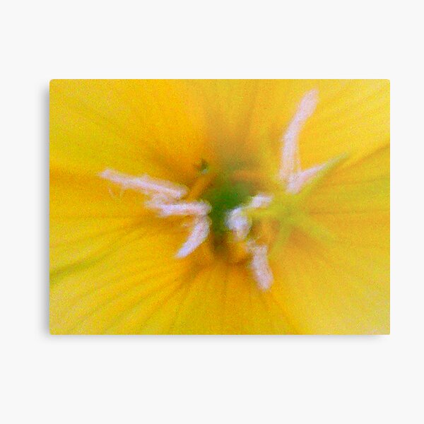 Yellow Frenzy Metal Print