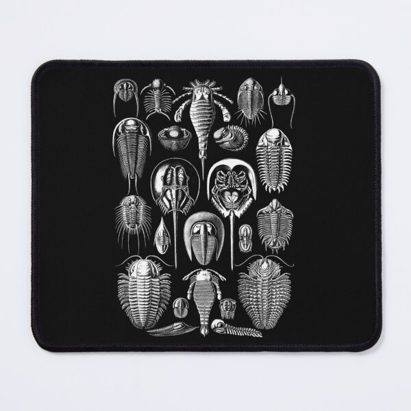 Item preview, Vintage Haeckel Aspidonia Limulus Horseshoe Crabs designed and sold by Crow Loftis.
