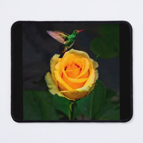 Item preview, Hummingbirds and Flowers, a Perfect Match designed and sold by alabca.