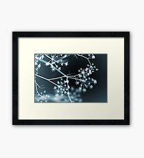 Midnight Glow. Dark Floral Framed Print