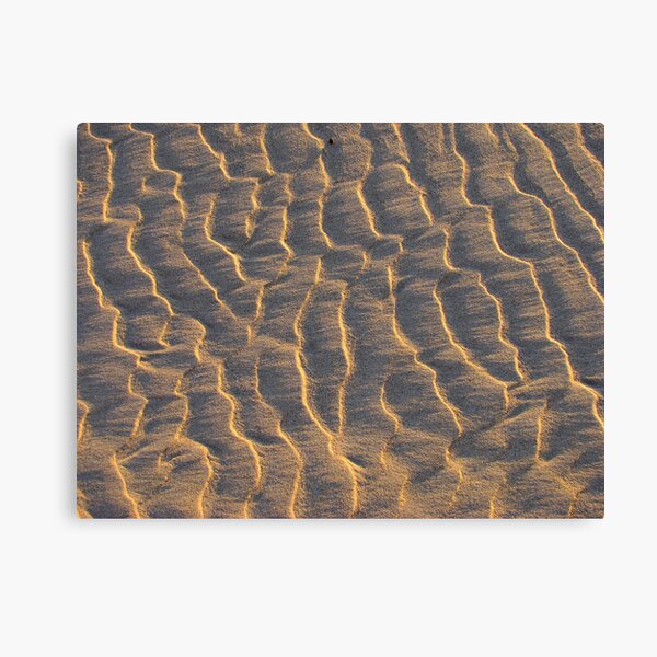 Silent Whispers Canvas Print