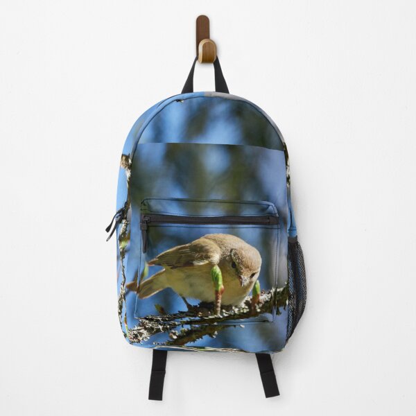 Item preview, Curiosity. Common Chiffchaff designed and sold by Jouko Lehto Photography.