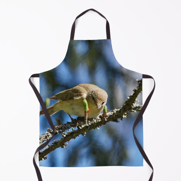 Item preview, Curiosity. Common Chiffchaff designed and sold by Jouko Lehto Photography.