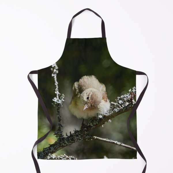 Item preview, Head turning singer. Common Chiffchaff designed and sold by Jouko Lehto Photography.