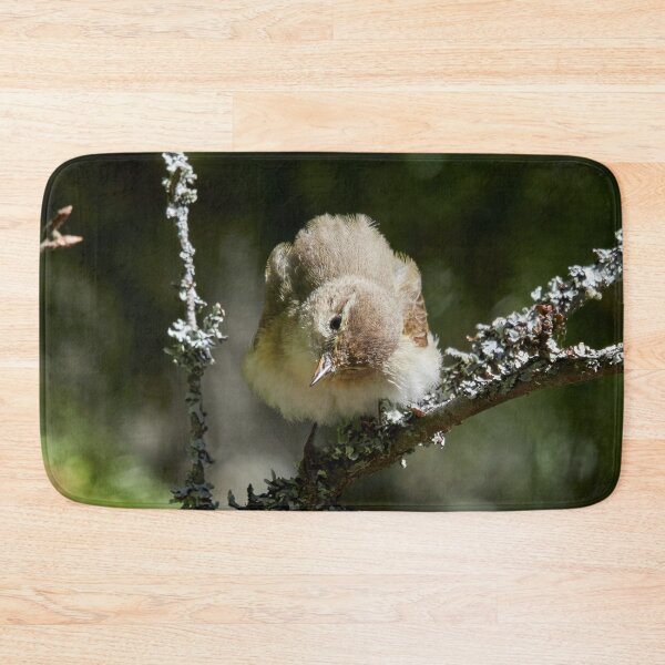 Item preview, Head turning singer. Common Chiffchaff designed and sold by Jouko Lehto Photography.