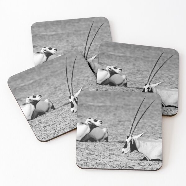 Item preview, Two Arabian oryxes resting in the desert, Black and White photography designed and sold by stedata.