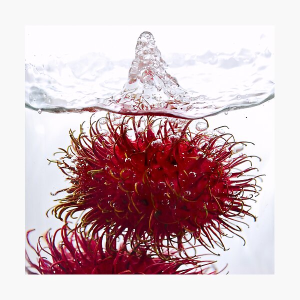 Item preview, Rambutan couple designed and sold by Alexander Gitlits.