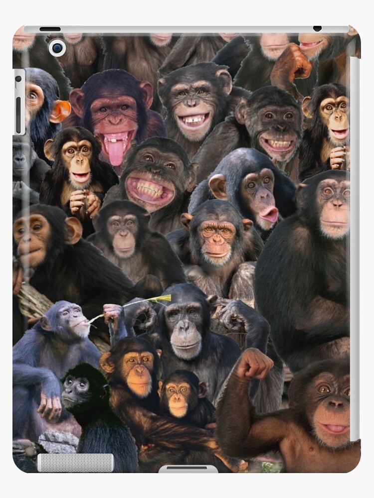 Silly Monkey collage chimpanzees gorilla ape funny chimp zoo 