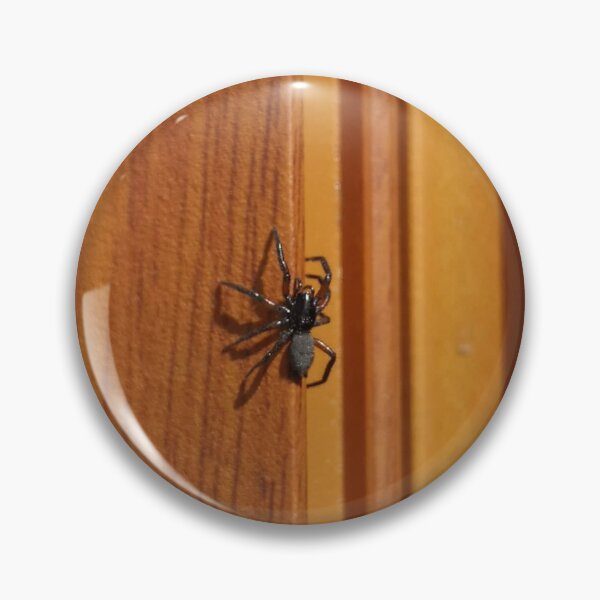 Item preview, Tiny spider on the door, cute spider designed and sold by JustAboutNature.