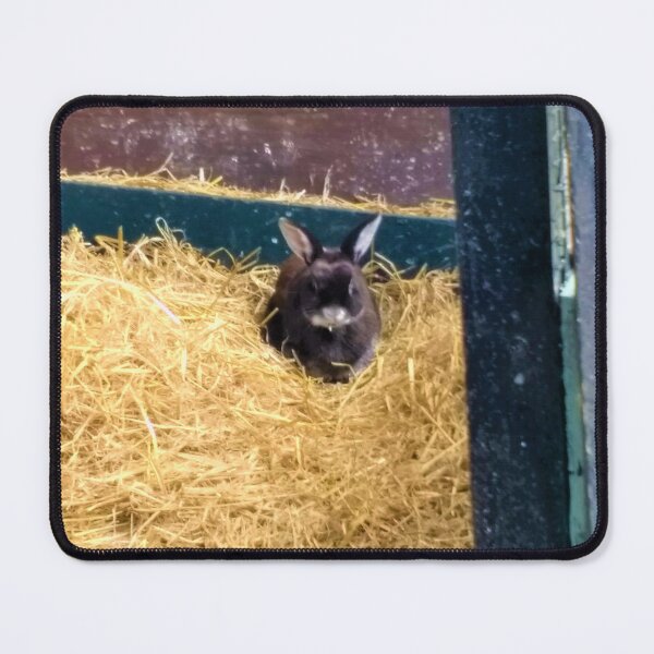 Item preview, #187 |☼| Rabbit On Hay, Lookin' Through Doorway  (Elsham Hall, Gardens & Country Park) designed and sold by Naean H.F. (Nez Man).