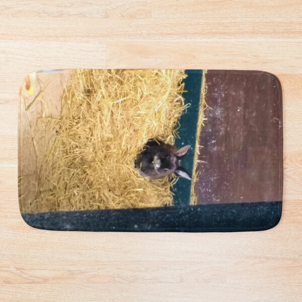 Item preview, #187 |☼| Rabbit On Hay, Lookin' Through Doorway  (Elsham Hall, Gardens & Country Park) designed and sold by Naean H.F. (Nez Man).