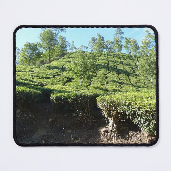 Item preview, Green Hills Tea Plantation Landscape, Kerala, India designed and sold by worldways.