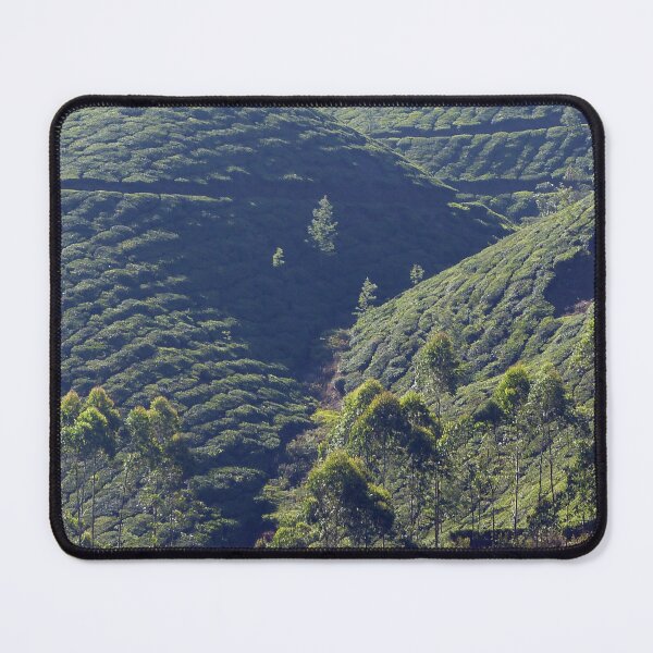 Item preview, Green Highlands Tea Plantation, Kerala, India designed and sold by worldways.