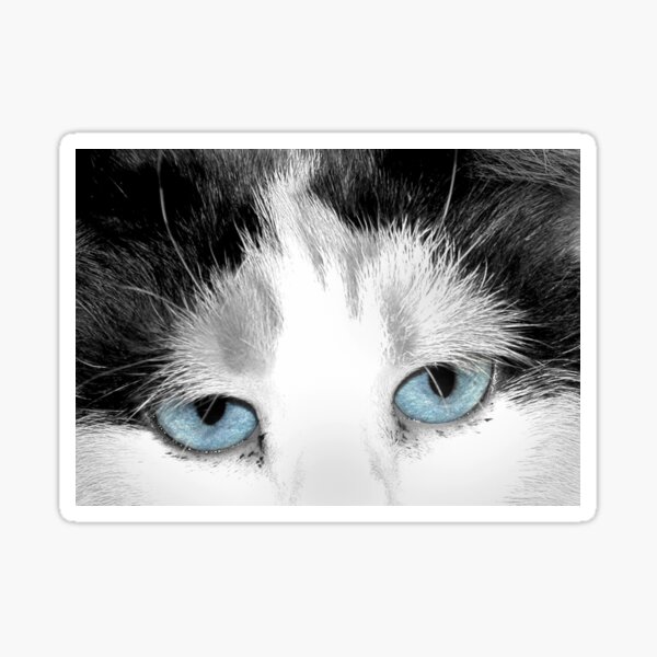 Georgette Sticker