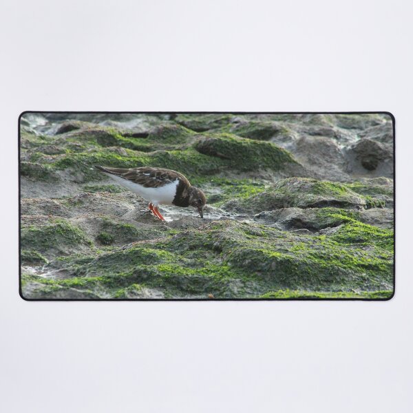 Item preview, Sandpiper Coastal Bird feeding on Seashore designed and sold by worldways.