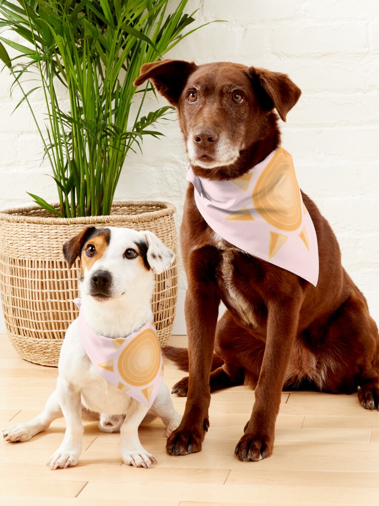 Alternate view of Aesthetic Sun Pet Bandana