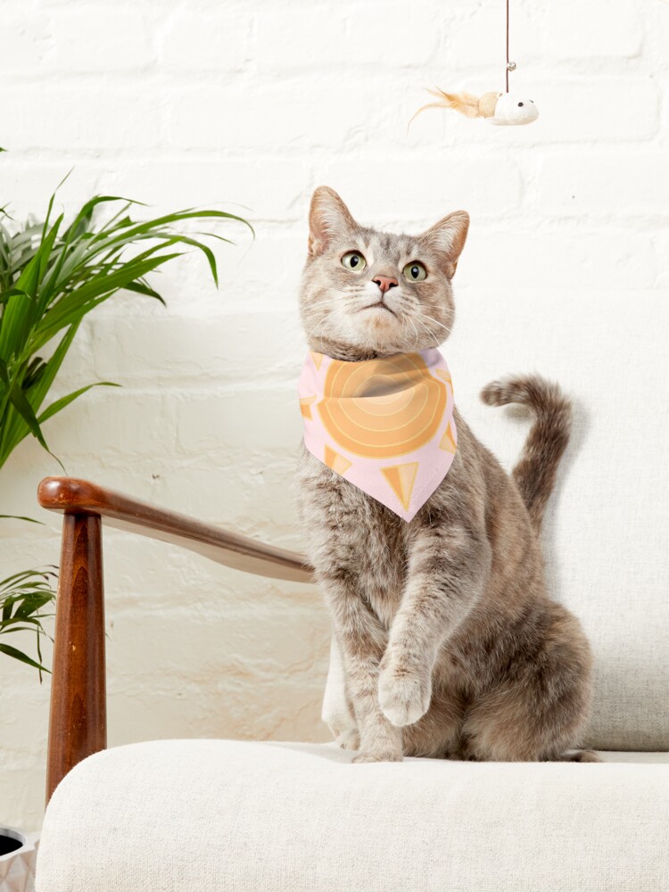 Alternate view of Aesthetic Sun Pet Bandana