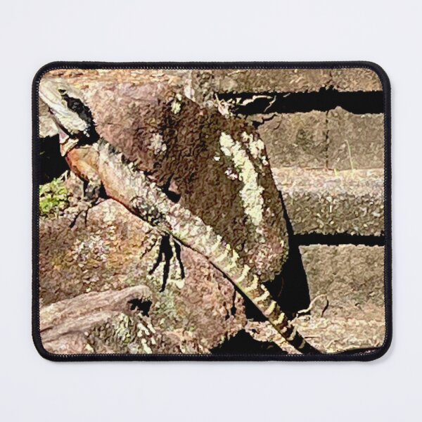 Item preview, Long Lounging Lizard designed and sold by KazM.