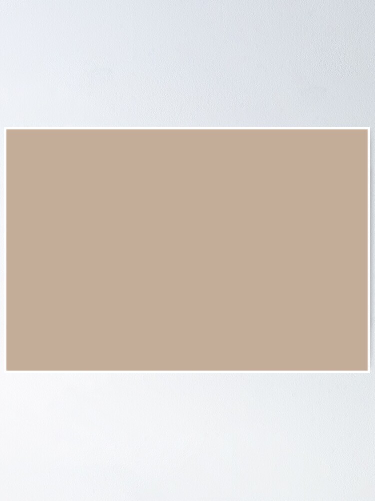 "Midtone Beige Brown Solid Color Pairs PPG Transcend PPG10794 All