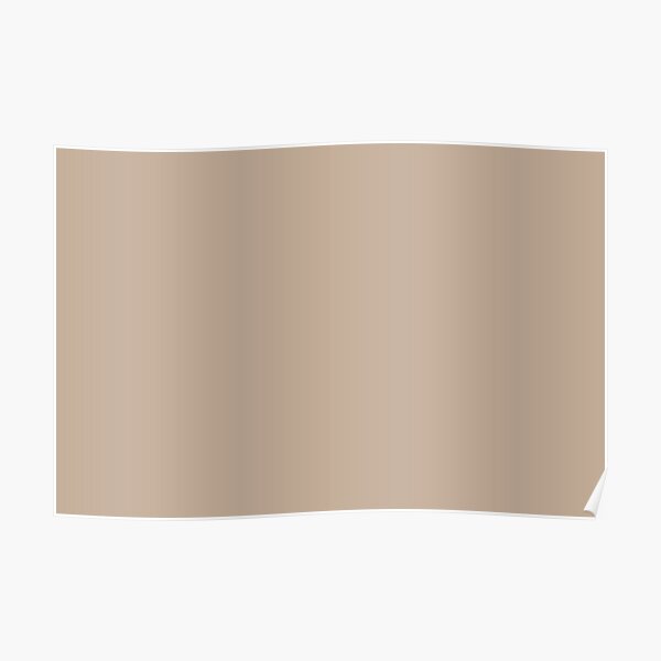 "Midtone Beige Brown Solid Color Pairs PPG Transcend PPG10794 All