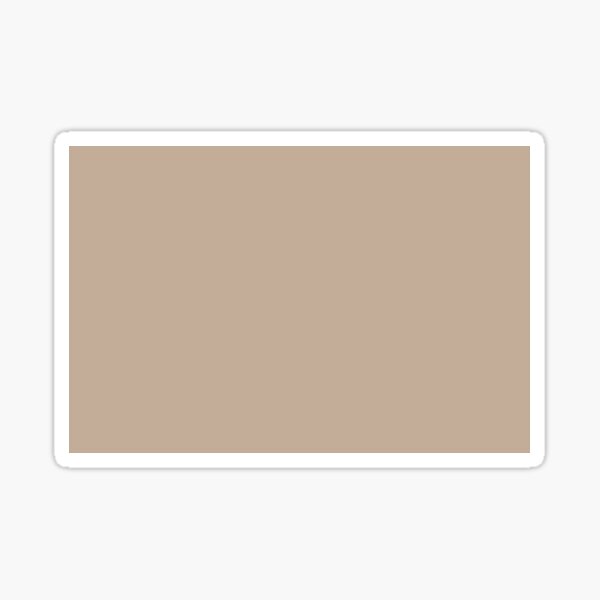 "Midtone Beige Brown Solid Color Pairs PPG Transcend PPG10794 All