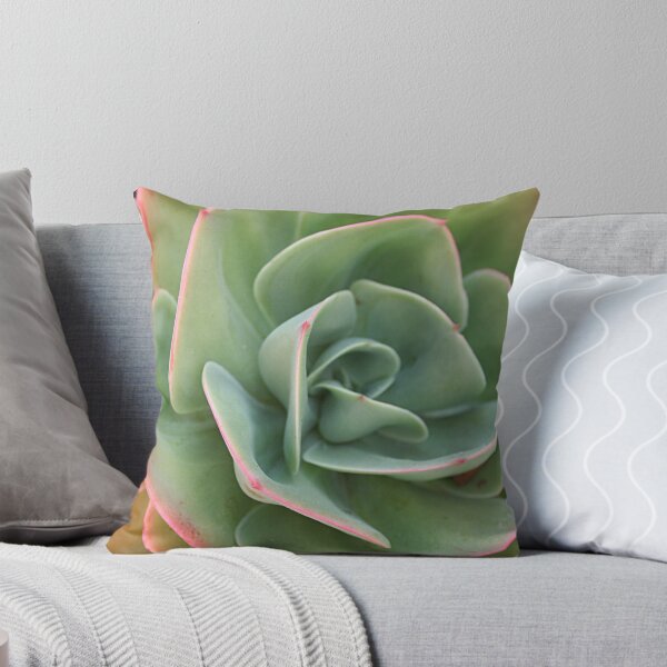 Item preview, Echeveria Cactus Green Pink Leaves Closeup designed and sold by worldways.
