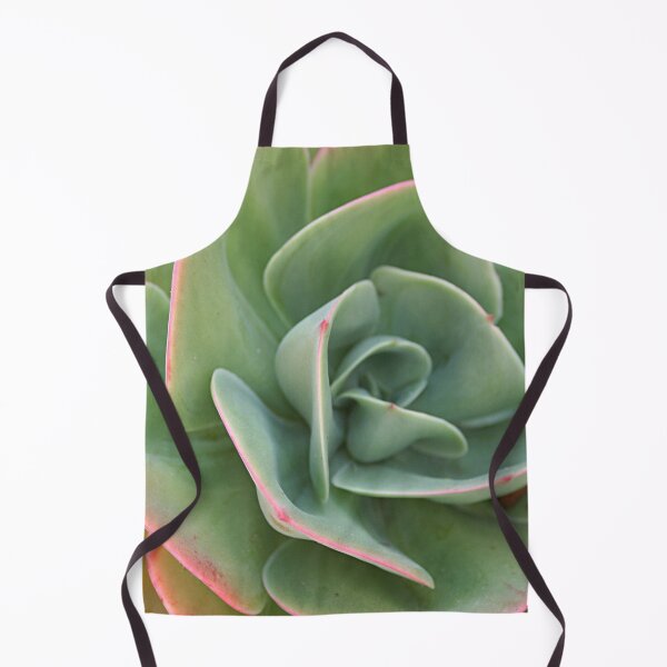 Item preview, Echeveria Cactus Green Pink Leaves Closeup designed and sold by worldways.