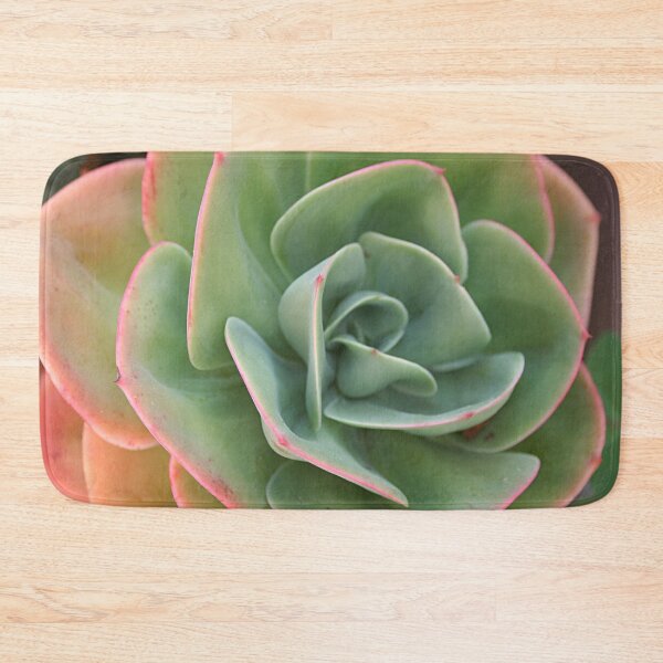 Item preview, Echeveria Cactus Green Pink Leaves Closeup designed and sold by worldways.