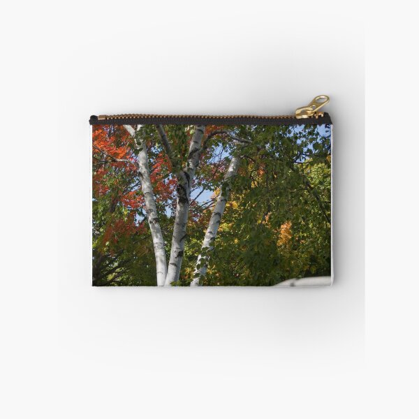 Item preview, White birches designed and sold by Anne Scantlebury.