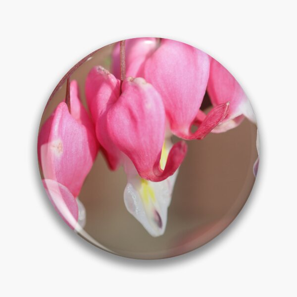 Item preview, Bleeding hearts designed and sold by GreyFeatherPhot.